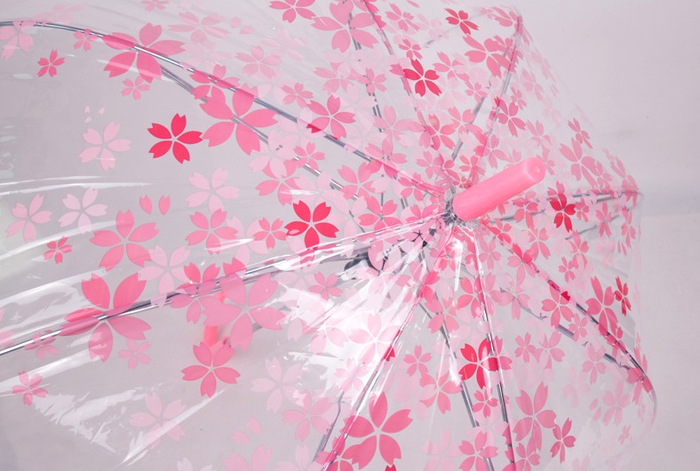 compact transparent umbrella